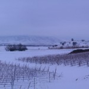 IMAG0206